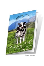 Daisy Gift Card