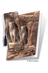 Cougar Gift Card