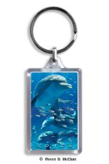 Dolphins Keyring