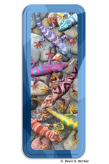 Geckos Pencil Tin