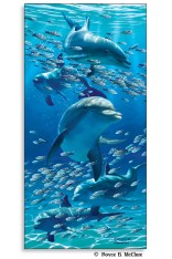 Dolphins Poster