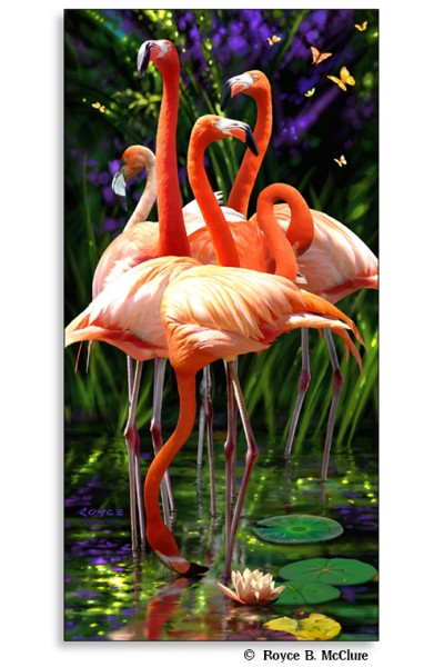 Flamingos Poster