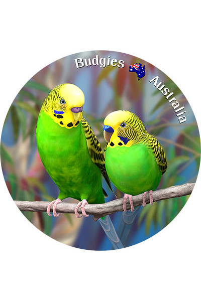 Australia Coasters