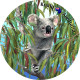 Australia Coasters