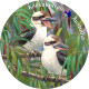 Australia Coasters