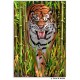 Tiger Trouble Puzzle