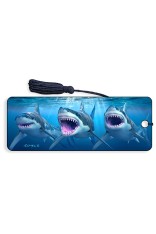 Great White Sharks Bookmark
