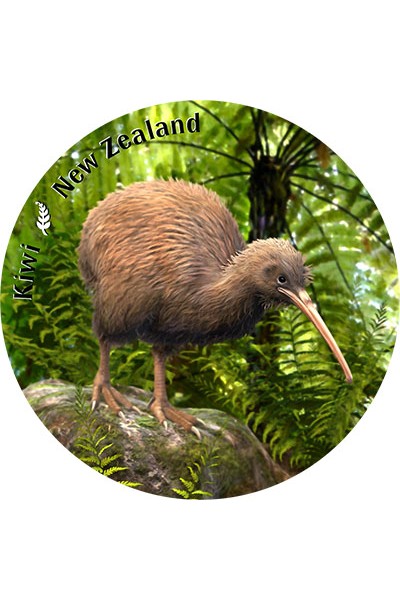 New Zealand Coasters