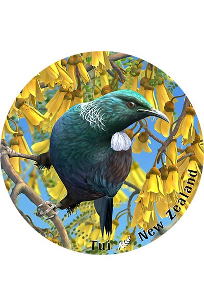 New Zealand Coasters