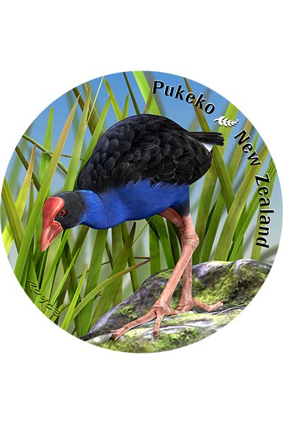 New Zealand Coasters