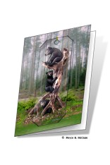 Black Bears Gift Card