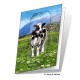 Daisy Gift Card