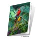 Parrots Gift Card