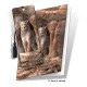 Cougar Gift Card