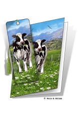 Daisy Gift Card