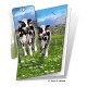 Daisy Gift Card