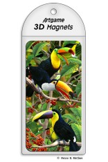 Toucan Magnet