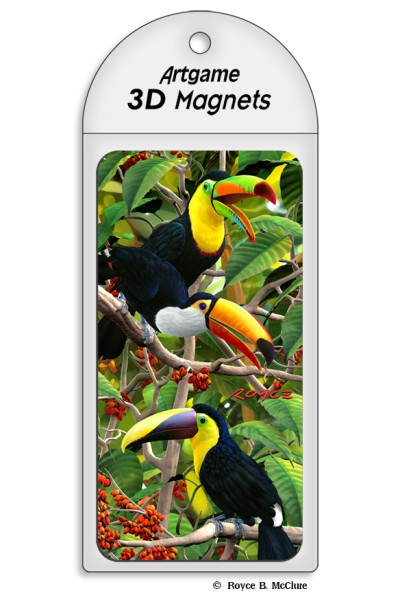 Toucan Magnet