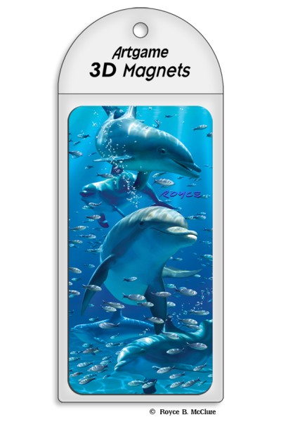 Dolphins Magnet