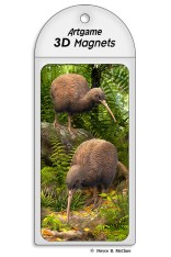 Kiwi Magnet