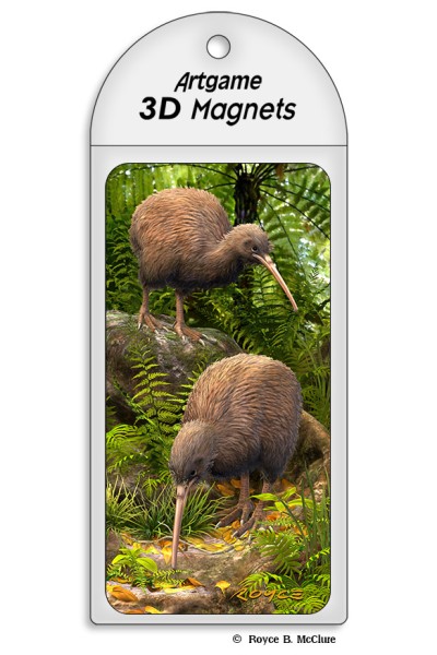 Kiwi Magnet