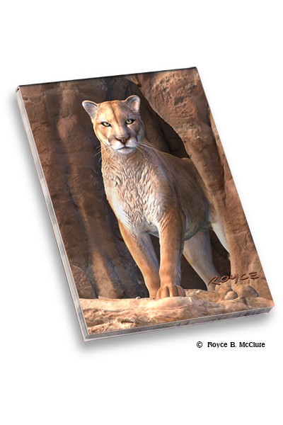 Cougar Memo Pad