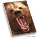 Grizzly Memo Pad