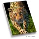 Leopard Memo Pad