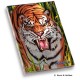 Tiger Trouble Memo Pad
