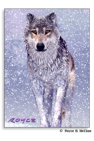 Snow Wolf Memo Pad