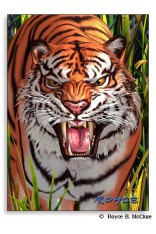 Tiger Trouble Memo Pad