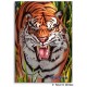 Tiger Trouble Memo Pad
