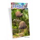 Kiwi Mini Puzzle