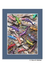 Geckos Mini Poster