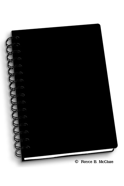 Dark Skulls Notebook