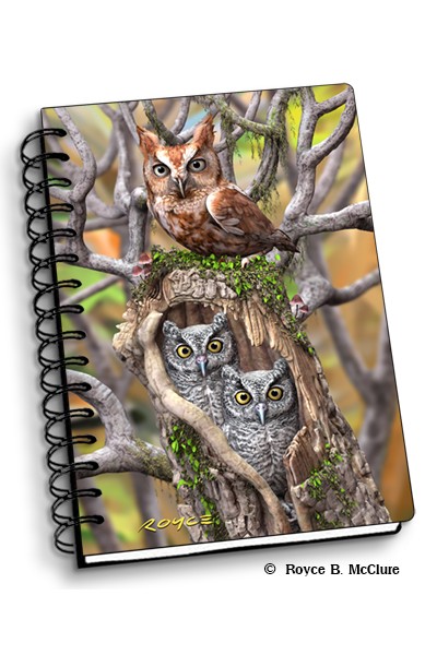 Owls Notebook