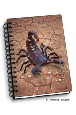 Scorpion Notebook