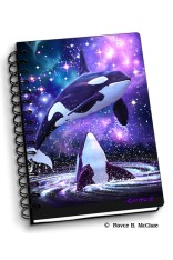 Space Orcas Notebook