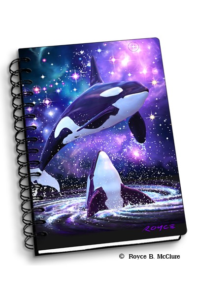 Space Orcas Notebook