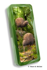 Kiwi Pencil Tin