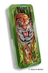 Tiger Trouble Pencil Tin
