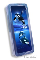Orcas Pencil Tin