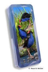 Wet Feet Pencil Tin