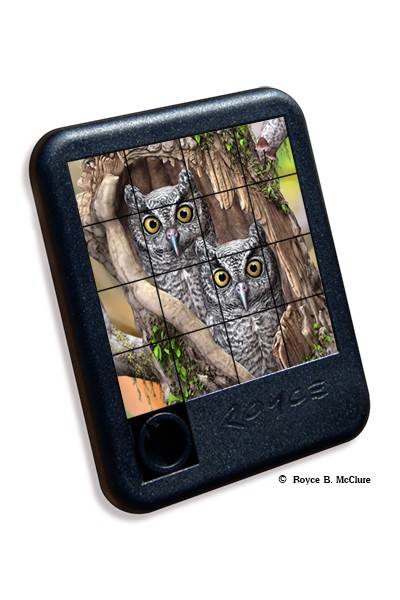Owl Slide Puzzle