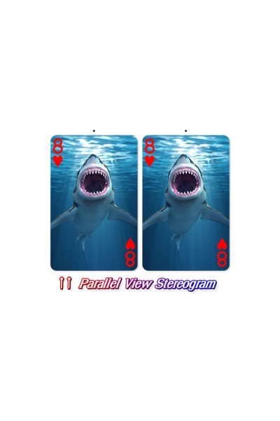Sharks Playing cards - BLUE