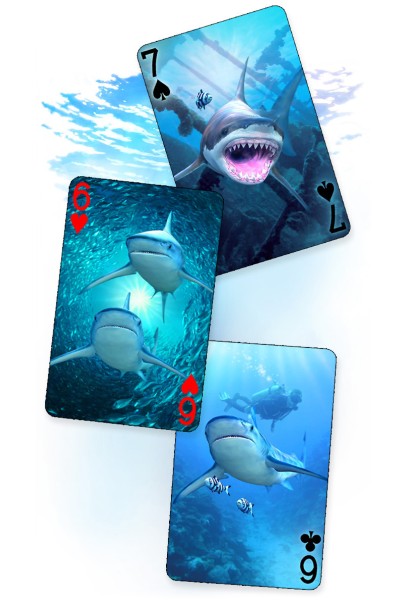 Sharks Playing cards - BLUE