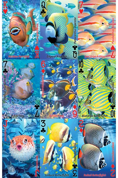 Tropical Fish Playing Cards