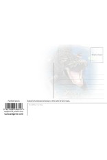 Gators Postcard