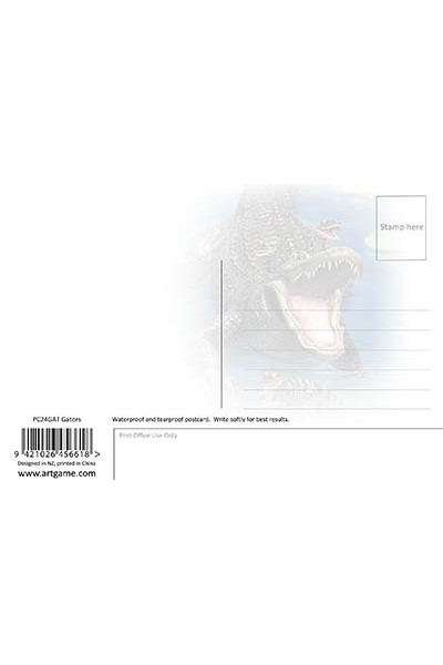 Gators Postcard