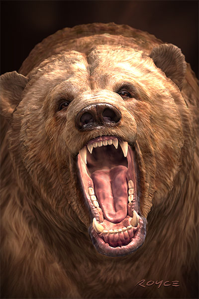 Grizzly Postcard